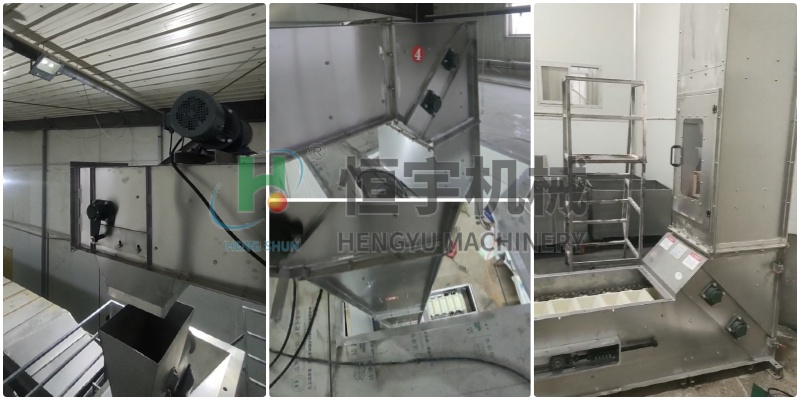 不銹鋼z型斗式提升機(jī)大豆客戶現(xiàn)場